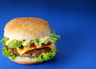 Cheeseburger on a blue background