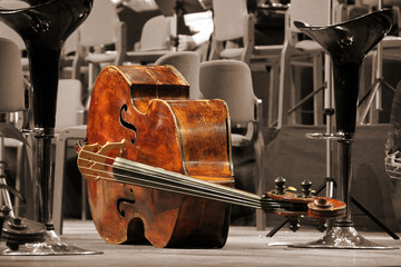 Violin