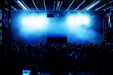 Cheering crowd at concert