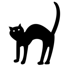 black cat isolated on white vector