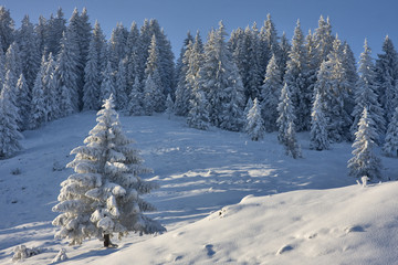 winteridylle am sudelfeld
