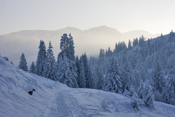 Fototapeta premium weg in die berge