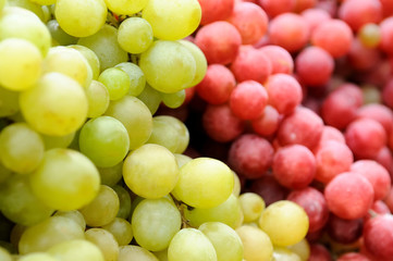 red and green grape