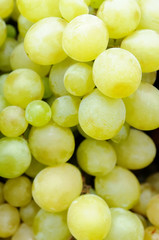 green grape