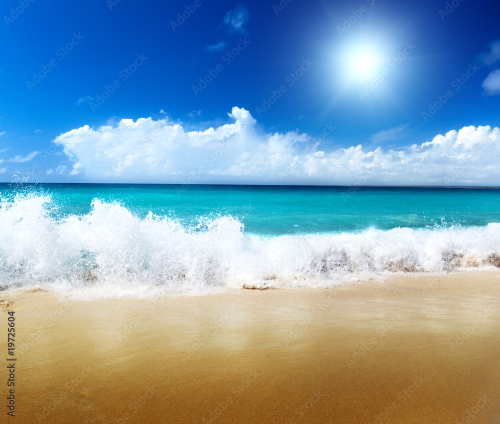 Wall mural sea and sand