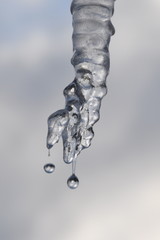 Icicle drips