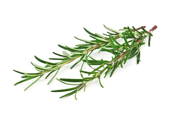 rosemary