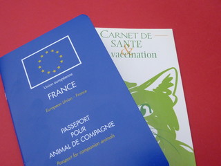 carnet de santé et passeport