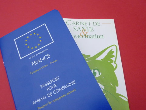 carnet de sant&eacute; et passeport