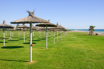 Fototapeta premium Sombrillas de playa