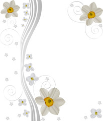 abstract flower design with narcissus