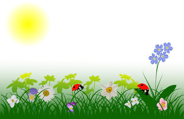 ladybugs in flowers illustration