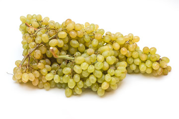 Grape isolated