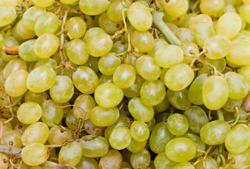 Grape background