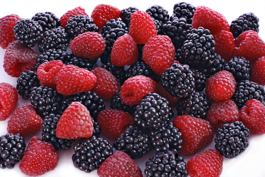 Raspberry and blackberry on the white background