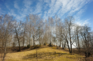 Landscape in March