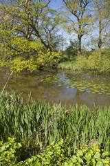 Fototapeta premium Rural setting