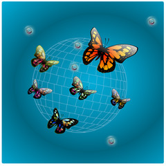 L'effet papillon - The butterfly effect.