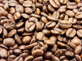 coffee beans
