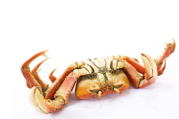 Crab
