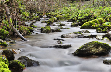Obraz premium Rio asturiano
