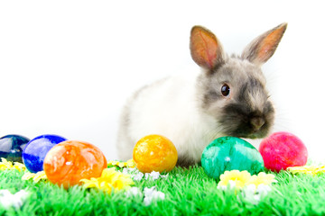 Osterhase