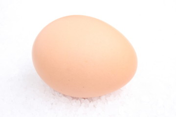 Egg / 蛋