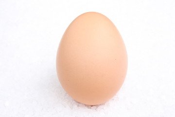Egg / 蛋