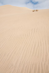 Sand dune 2