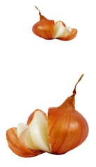 Cuts onions on the white surface.