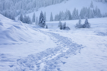 spuren im schnee