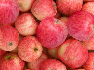Fruit  apples