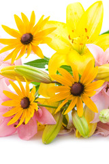 Pink and yellow flowers