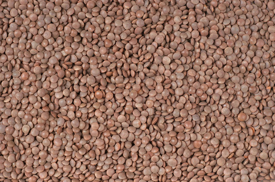 Berglinsen