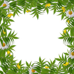 Fototapeta na wymiar White frame with flower on the white background