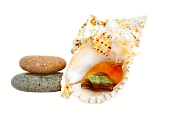 stones and  seashell