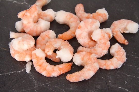 shrimps tiefgek&uuml;hlt