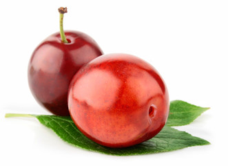 fresh plum fruits with green leaves isolated