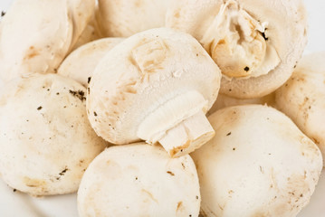 champignons