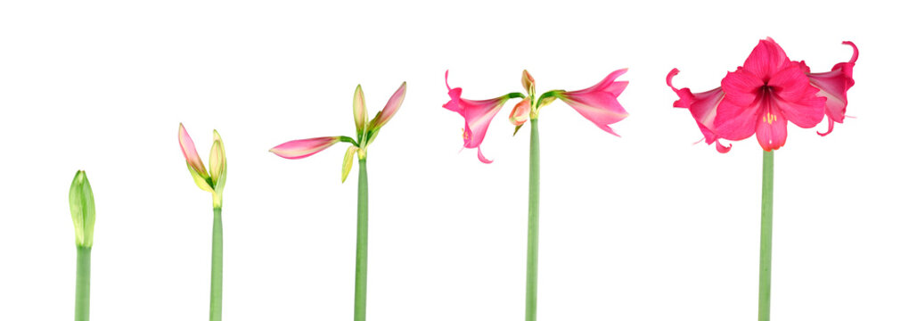 spring is coming
