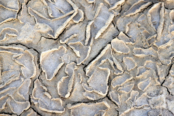 Trockene, rissige Erde