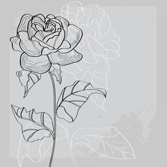 Decorative background with rose flower silhouette