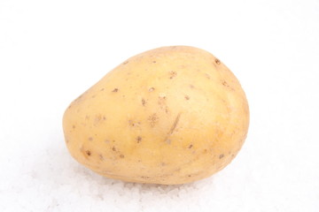 Potato / 土豆