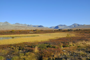 Rondane