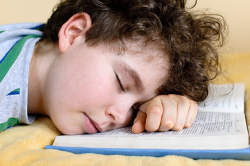 Boy reading book at home