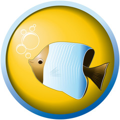 Pesce luna su oblò giallo