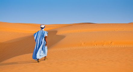 Fototapeta na wymiar Walker na pustyni