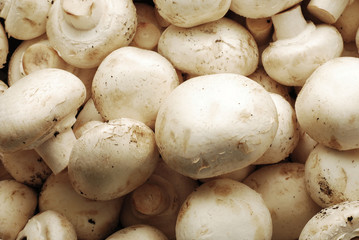 mushrooms