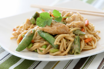 Peanut Sauce Noodles with Chicken