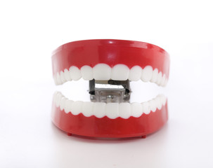 Obraz premium Novelty chattering teeth and mouth